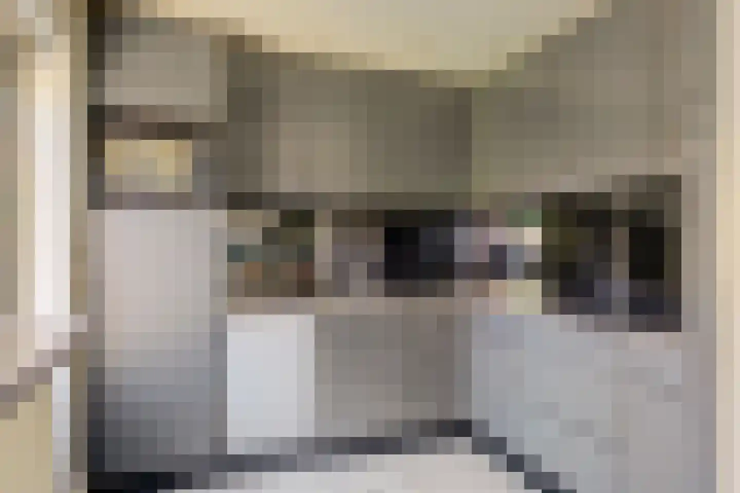 Ds. Louwe Kooymanslaan 21 a Waalwijk thumbnail 7