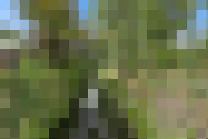Ds. Louwe Kooymanslaan 33 Waalwijk thumbnail 37