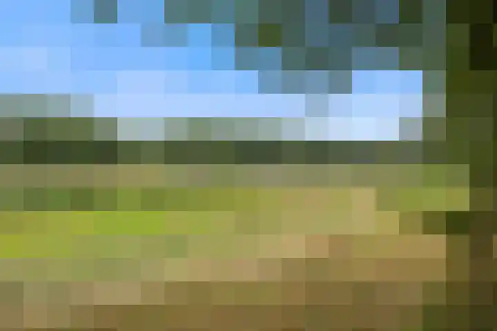 Ds. Louwe Kooymanslaan 33 Waalwijk thumbnail 38