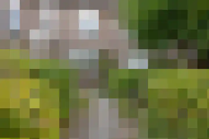 Ds. Louwe Kooymanslaan 33 Waalwijk thumbnail 5