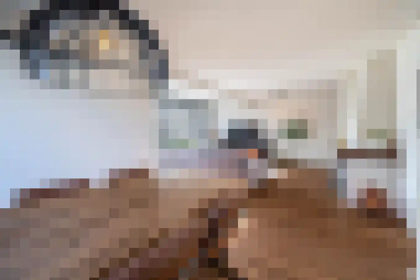 Ds. Louwe Kooymanslaan 4 Waalwijk thumbnail 10