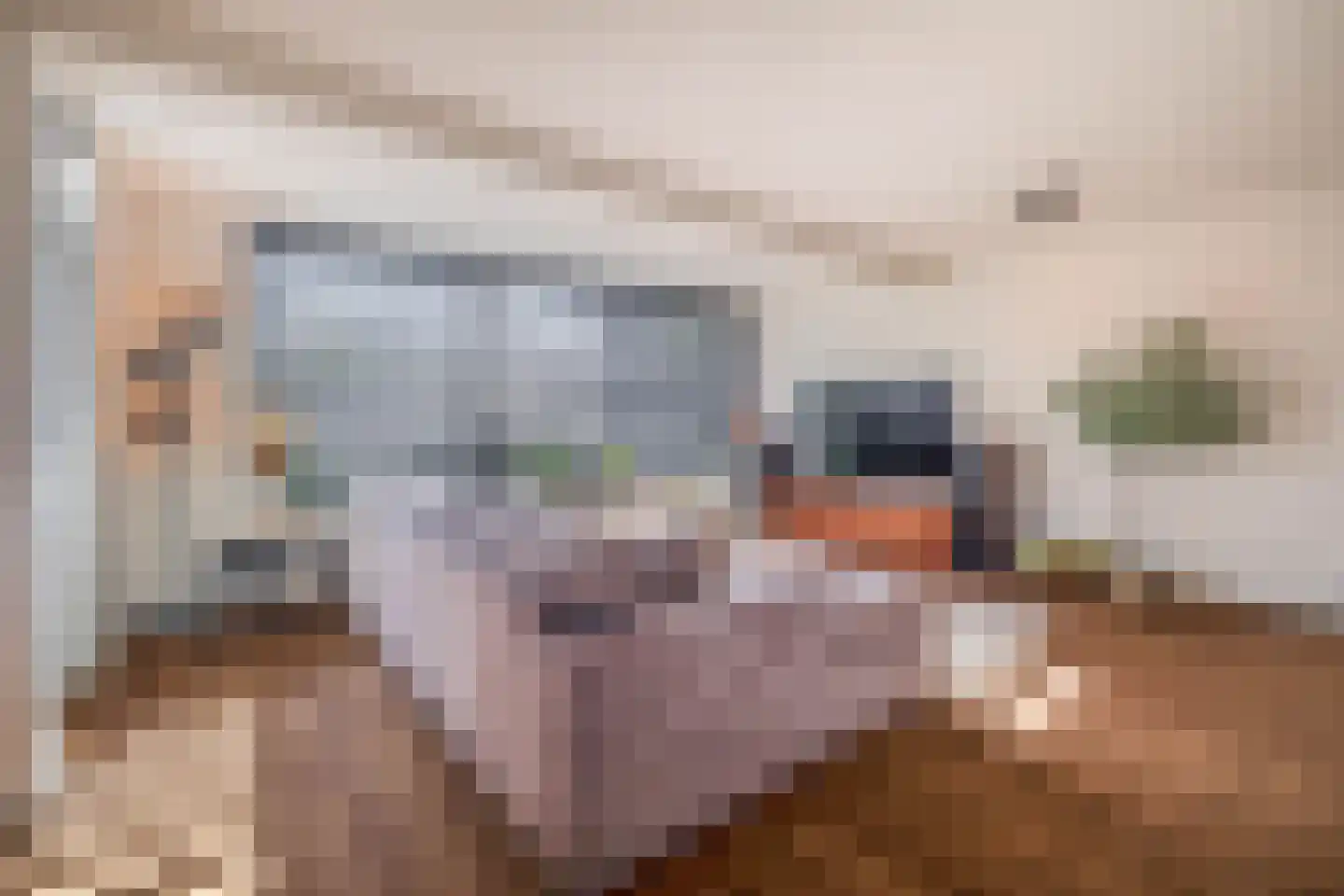 Ds. Louwe Kooymanslaan 4 Waalwijk thumbnail 11