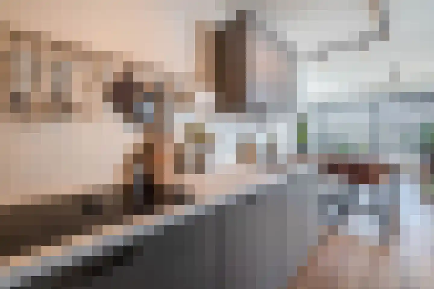 Ds. Louwe Kooymanslaan 4 Waalwijk thumbnail 15