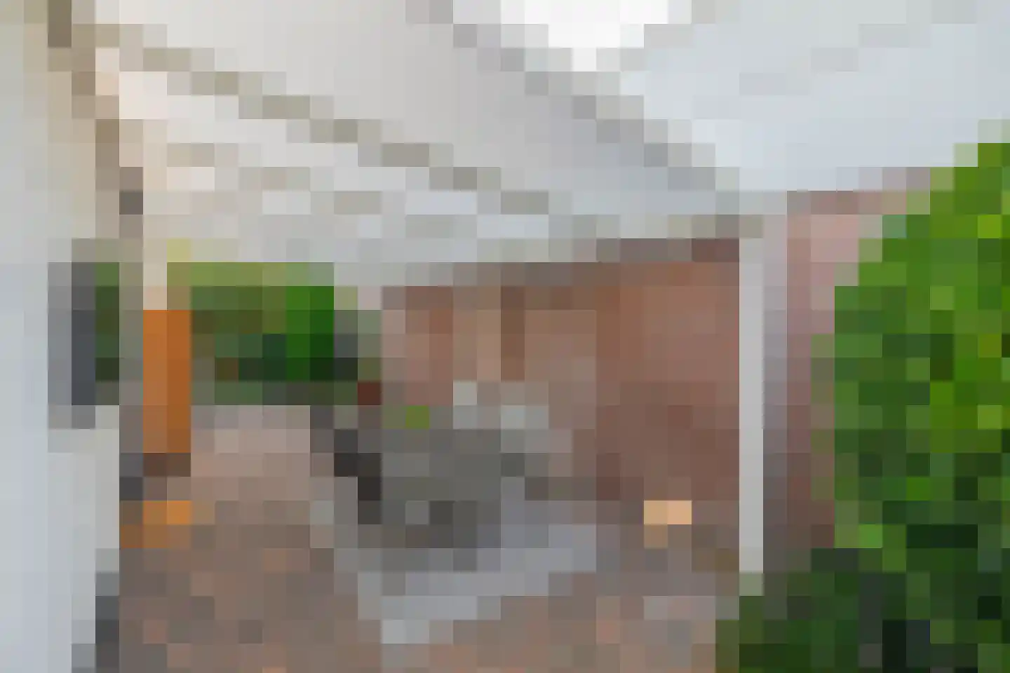 Ds. Louwe Kooymanslaan 4 Waalwijk thumbnail 18