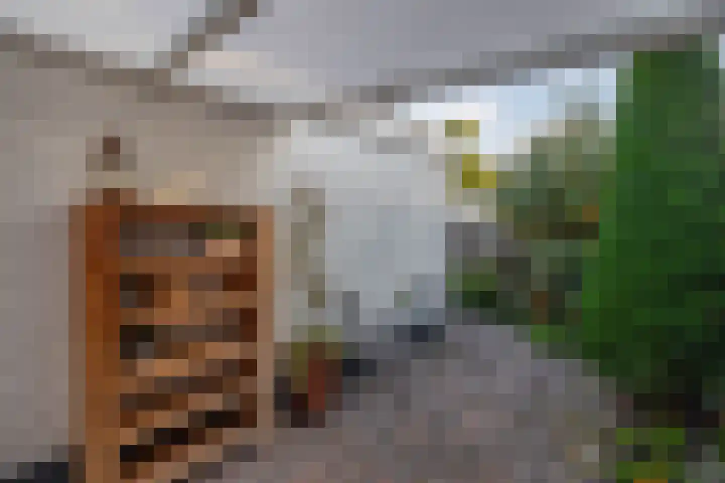 Ds. Louwe Kooymanslaan 4 Waalwijk thumbnail 20