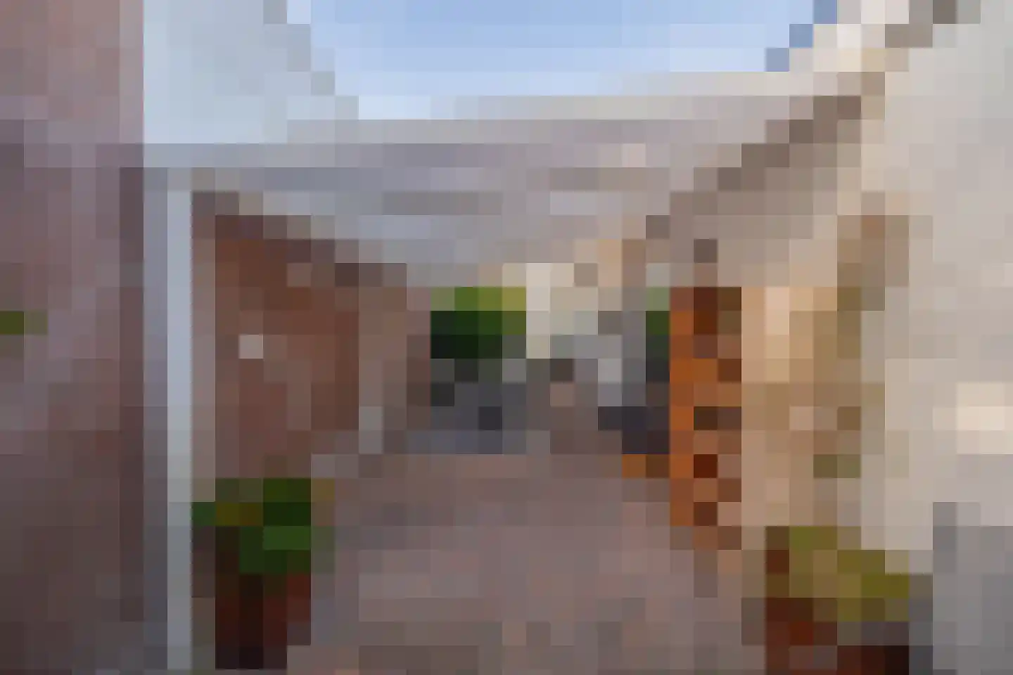 Ds. Louwe Kooymanslaan 4 Waalwijk thumbnail 21