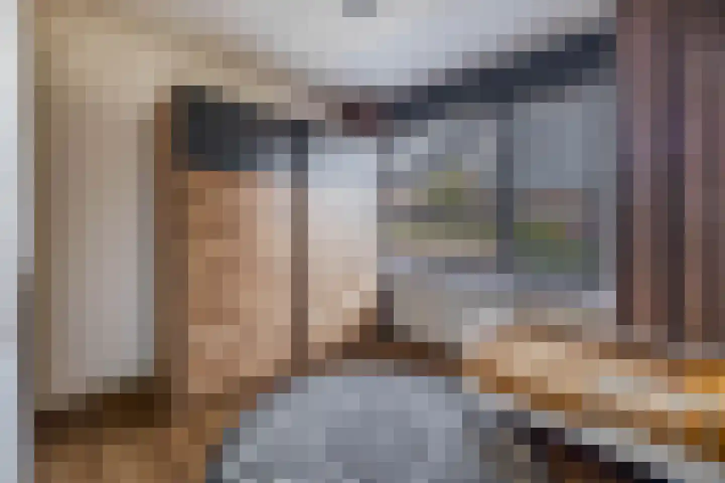 Ds. Louwe Kooymanslaan 4 Waalwijk thumbnail 27
