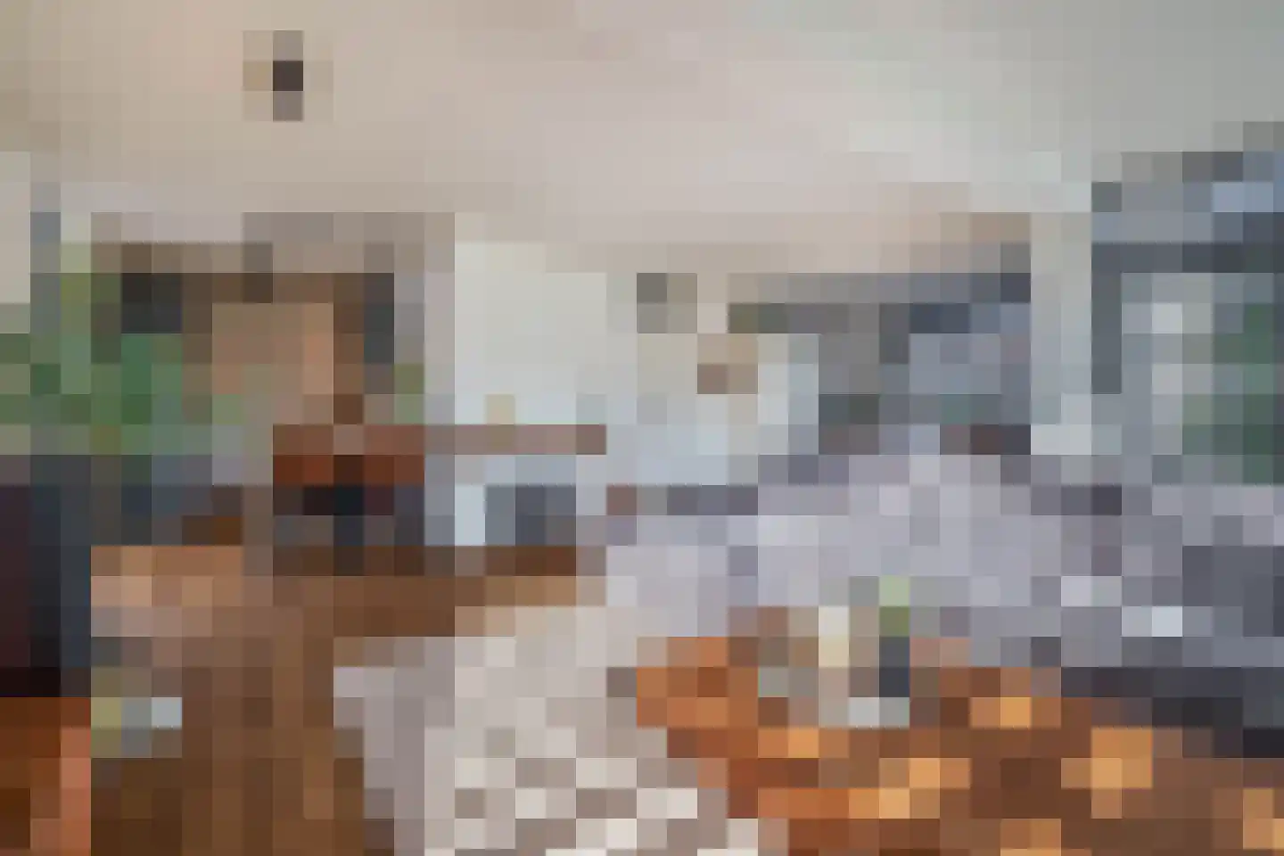 Ds. Louwe Kooymanslaan 4 Waalwijk thumbnail 4
