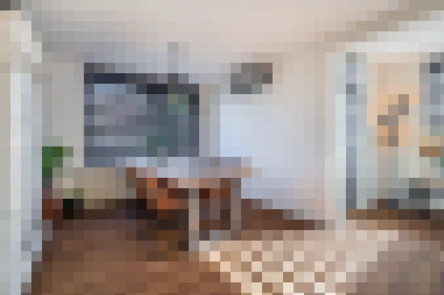 Ds. Louwe Kooymanslaan 4 Waalwijk thumbnail 9