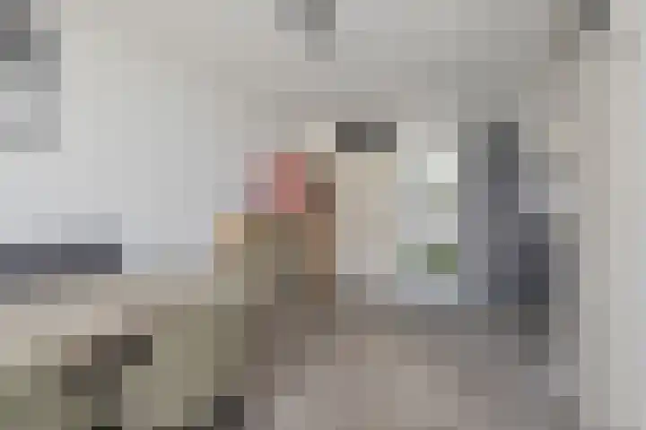 Ds. Louwe Kooymanslaan 47 Waalwijk thumbnail 10