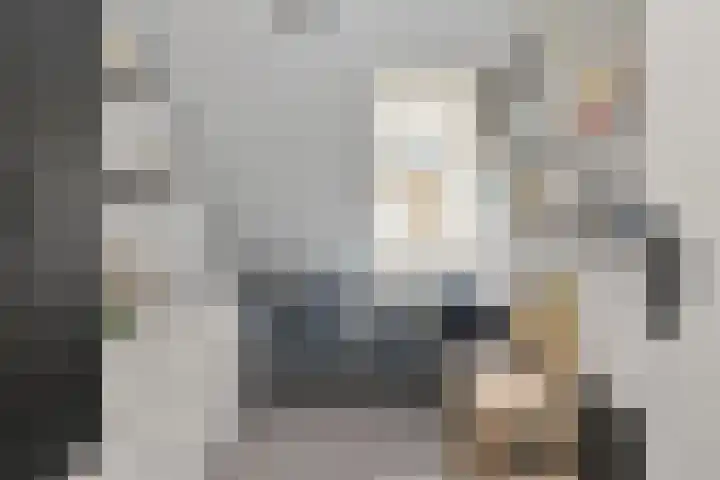 Ds. Louwe Kooymanslaan 47 Waalwijk thumbnail 25