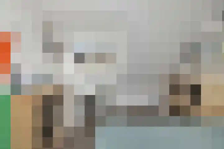 Ds. Louwe Kooymanslaan 47 Waalwijk thumbnail 30