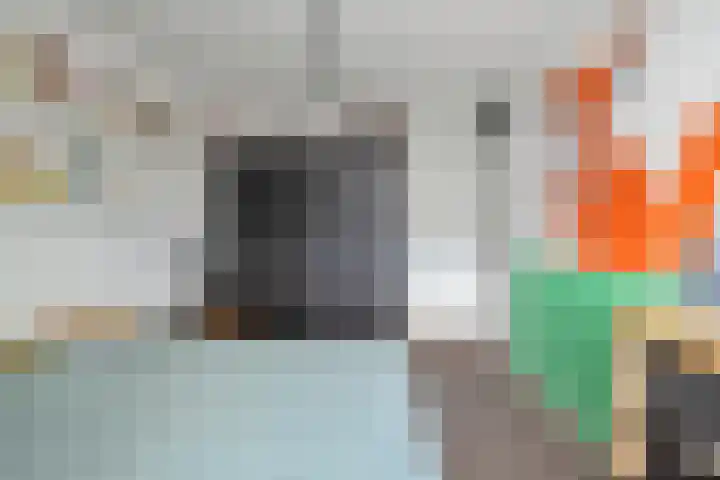 Ds. Louwe Kooymanslaan 47 Waalwijk thumbnail 31
