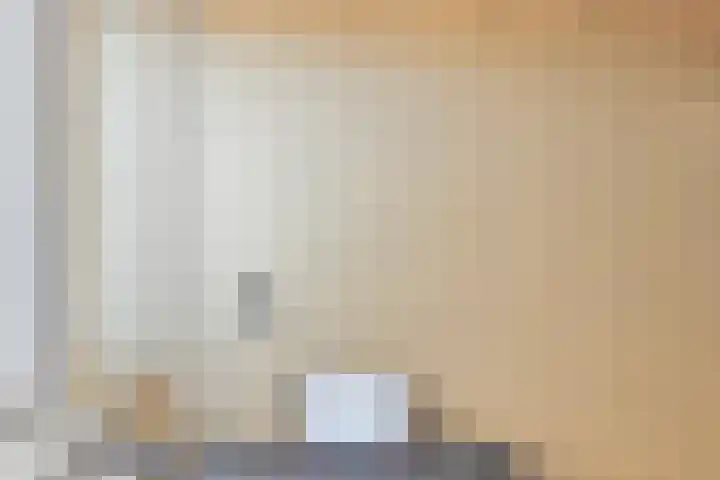 Ds. Louwe Kooymanslaan 47 Waalwijk thumbnail 36