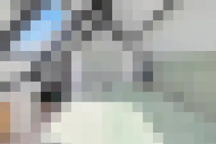 Ds. Louwe Kooymanslaan 47 Waalwijk thumbnail 43