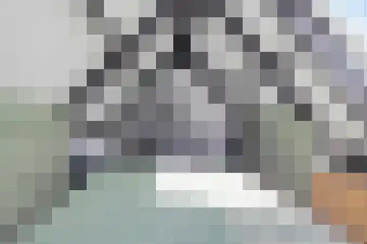Ds. Louwe Kooymanslaan 47 Waalwijk thumbnail 44