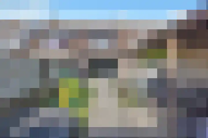 Ds. Louwe Kooymanslaan 47 Waalwijk thumbnail 48