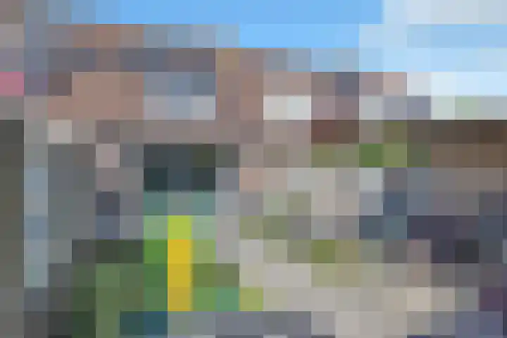 Ds. Louwe Kooymanslaan 47 Waalwijk thumbnail 49