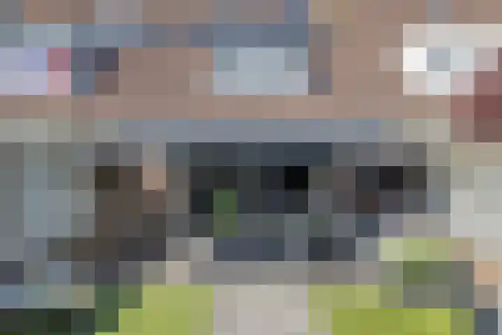 Ds. Louwe Kooymanslaan 47 Waalwijk thumbnail 54