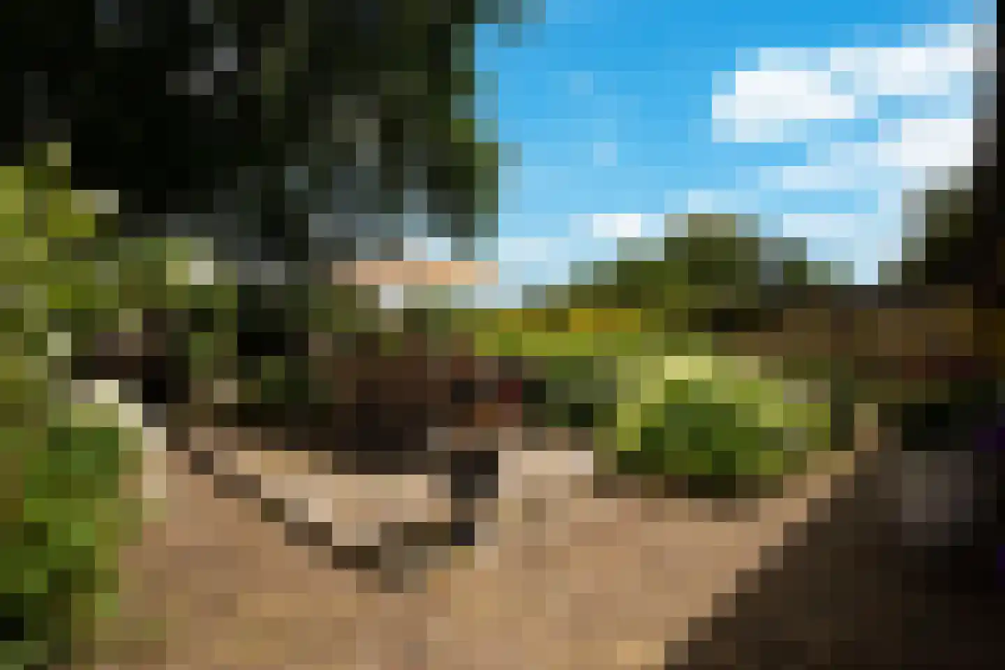 Ds. Louwe Kooymanslaan 6 Waalwijk thumbnail 18