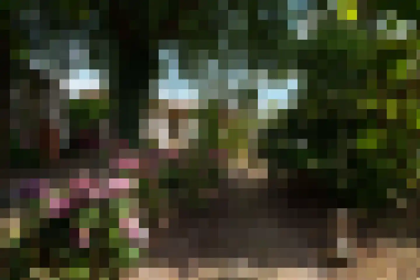 Ds. Louwe Kooymanslaan 6 Waalwijk thumbnail 20
