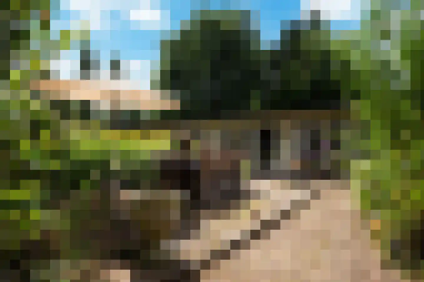 Ds. Louwe Kooymanslaan 6 Waalwijk thumbnail 21