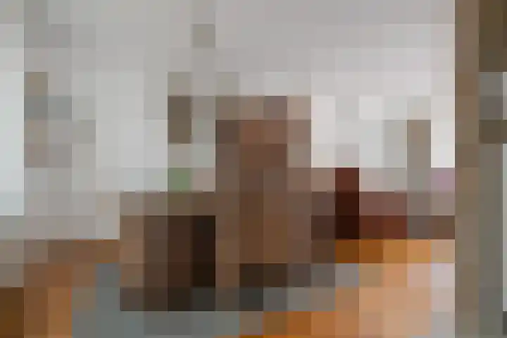 Ds. Louwe Kooymanslaan 69 Waalwijk thumbnail 10