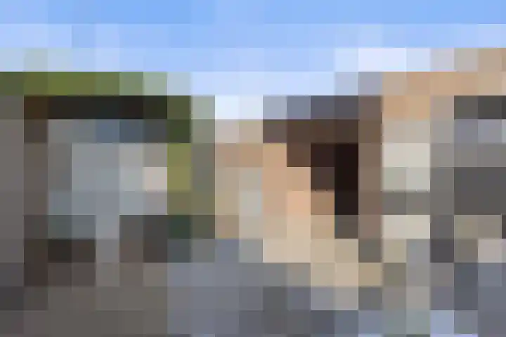 Ds. Louwe Kooymanslaan 69 Waalwijk thumbnail 31