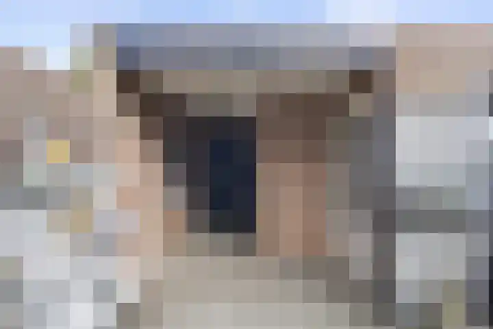 Ds. Louwe Kooymanslaan 69 Waalwijk thumbnail 33