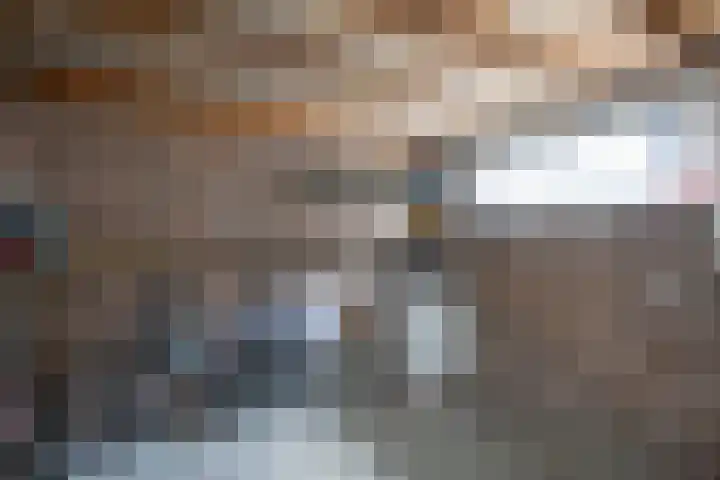 Ds. Louwe Kooymanslaan 69 Waalwijk thumbnail 35