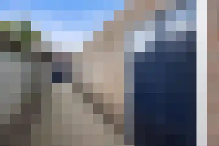 Ds. Louwe Kooymanslaan 69 Waalwijk thumbnail 38