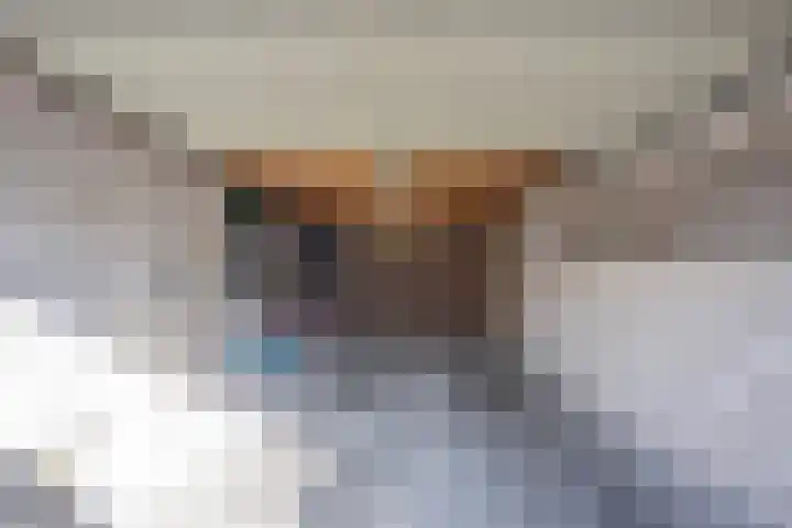 Ds. Louwe Kooymanslaan 69 Waalwijk thumbnail 40