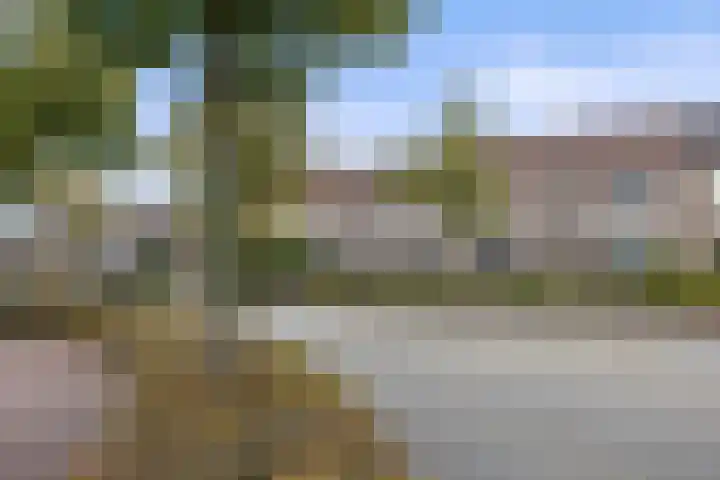 Ds. Louwe Kooymanslaan 69 Waalwijk thumbnail 42