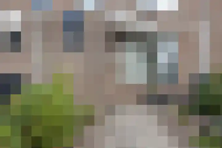 Ds. Louwe Kooymanslaan 69 Waalwijk thumbnail 43