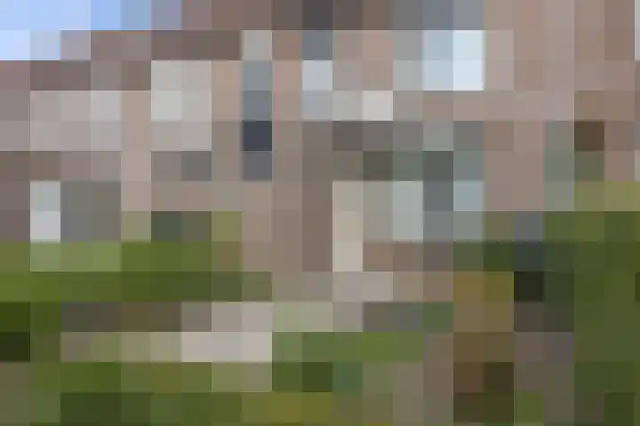 Ds. Louwe Kooymanslaan 69 Waalwijk thumbnail 5