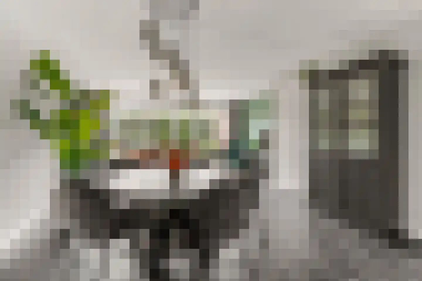 Ds. Magendansstraat 12 Lexmond thumbnail 11