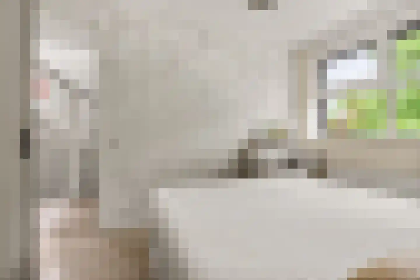 Ds. Magendansstraat 12 Lexmond thumbnail 15