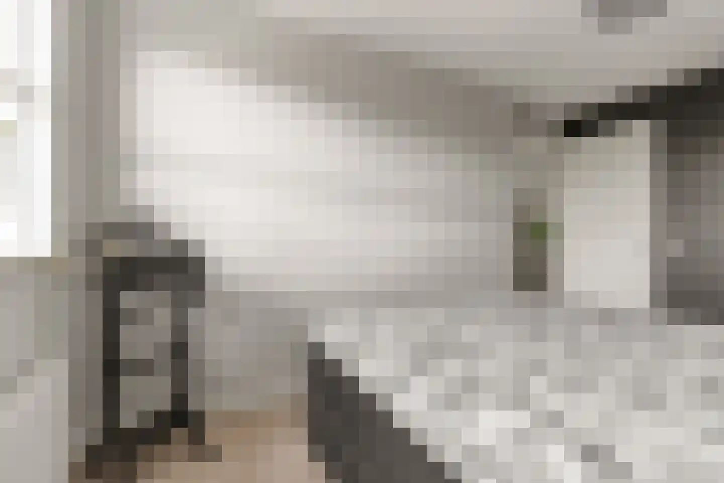 Ds. Magendansstraat 12 Lexmond thumbnail 17