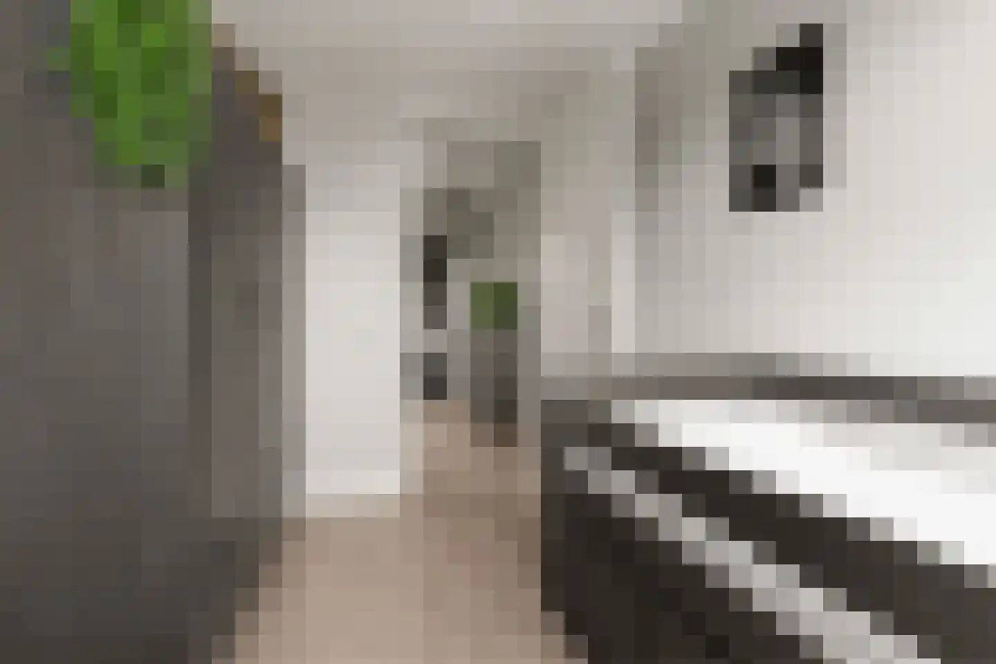 Ds. Magendansstraat 12 Lexmond thumbnail 19