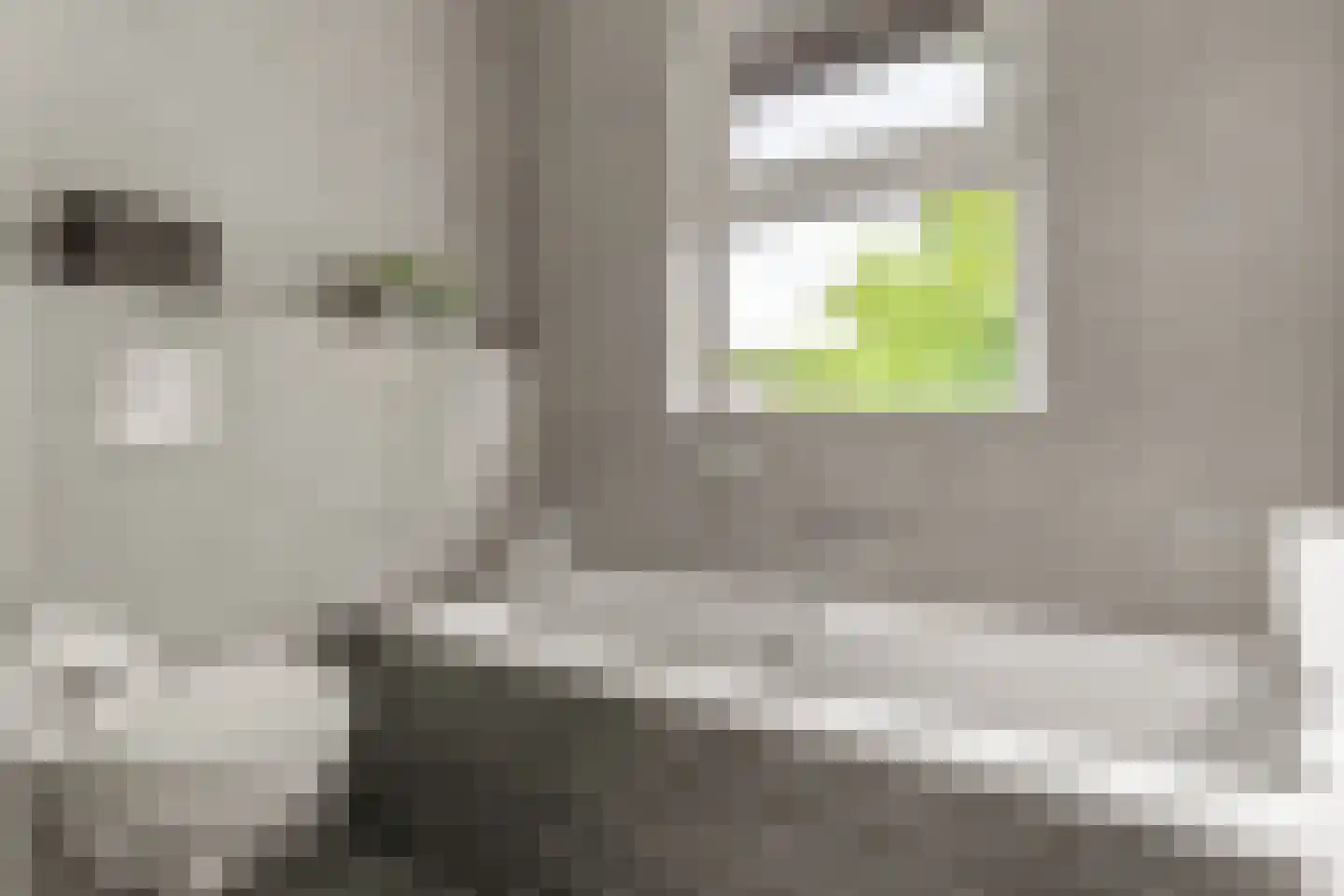 Ds. Magendansstraat 12 Lexmond thumbnail 21
