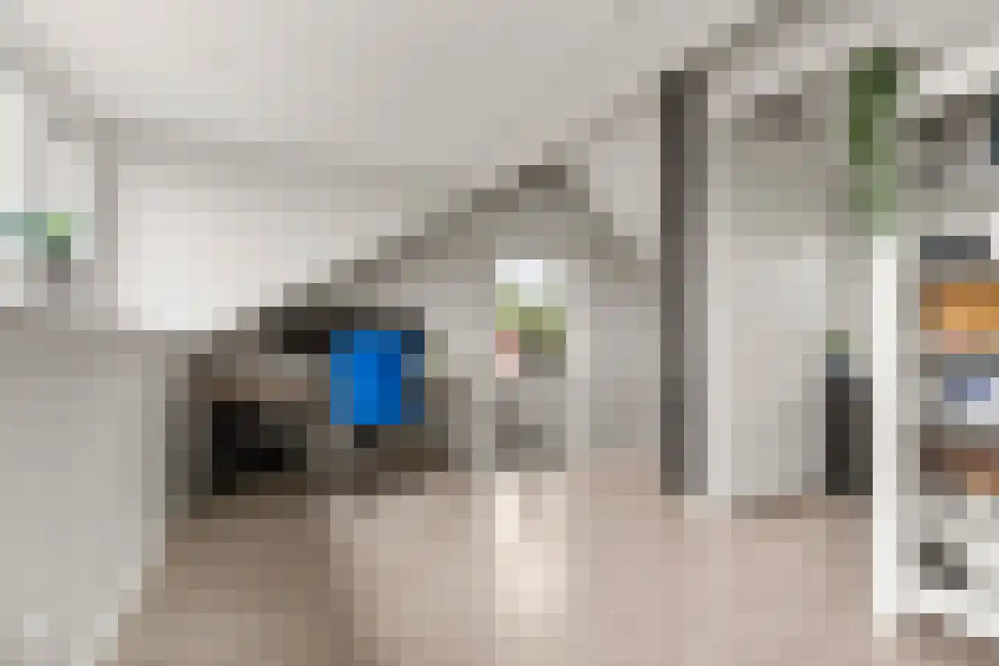 Ds. Magendansstraat 12 Lexmond thumbnail 24