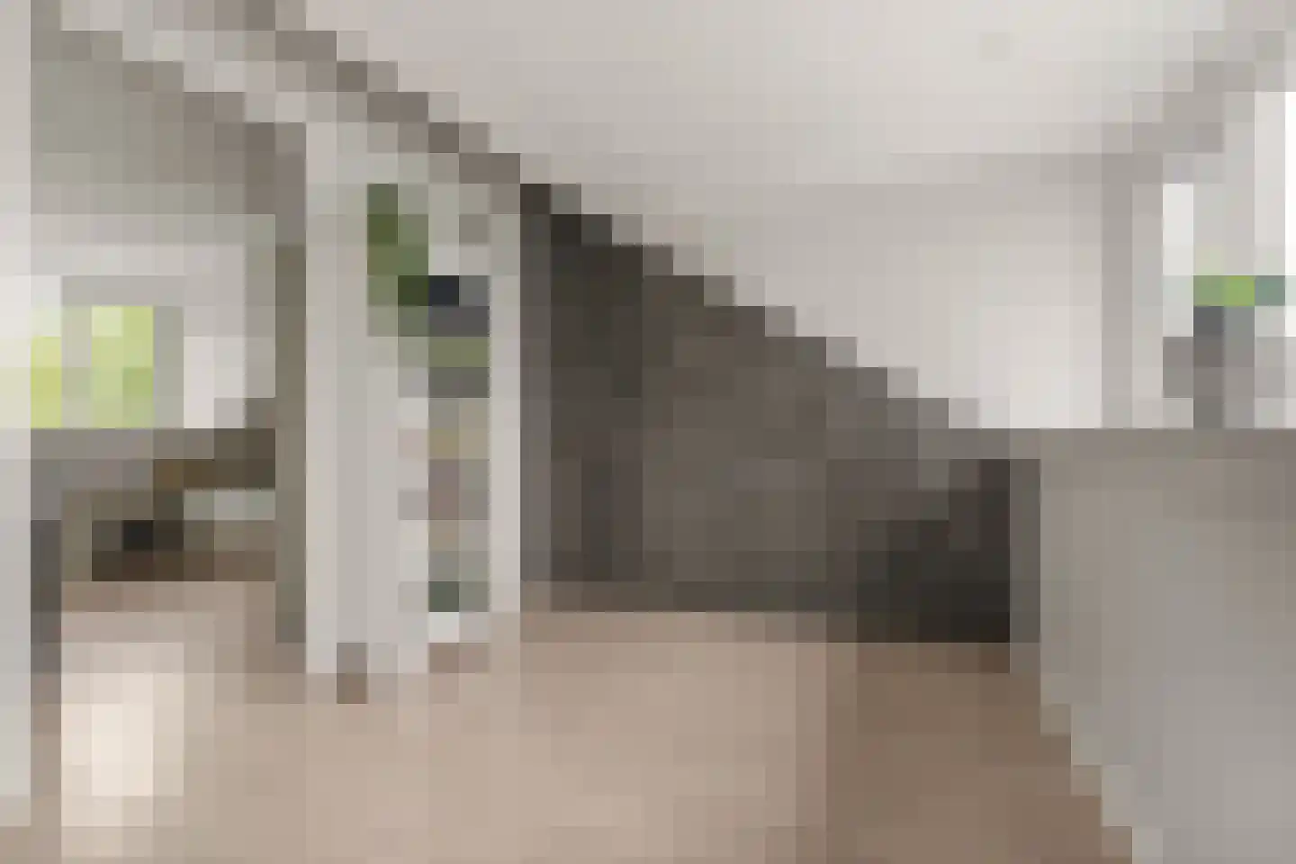 Ds. Magendansstraat 12 Lexmond thumbnail 25