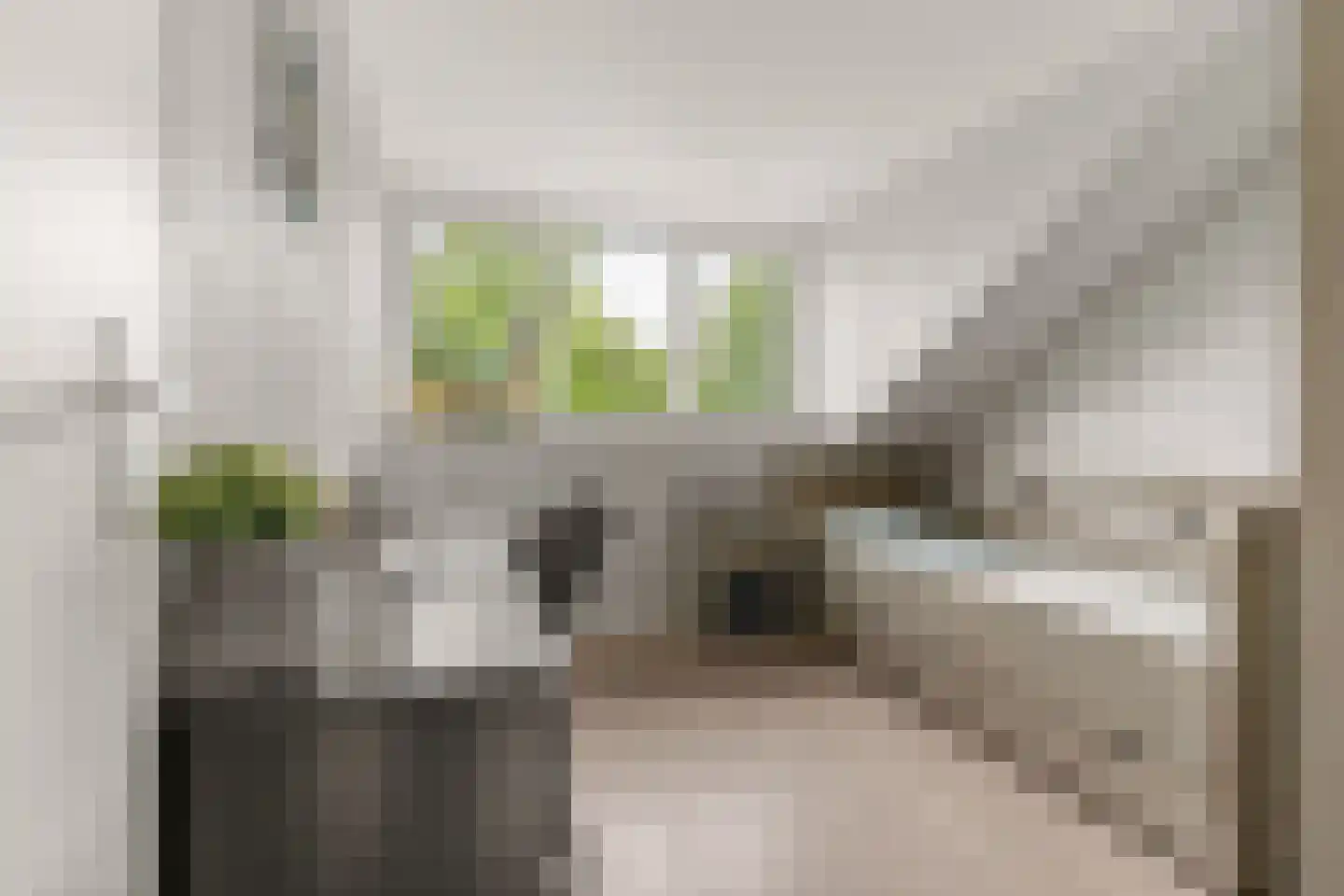 Ds. Magendansstraat 12 Lexmond thumbnail 26