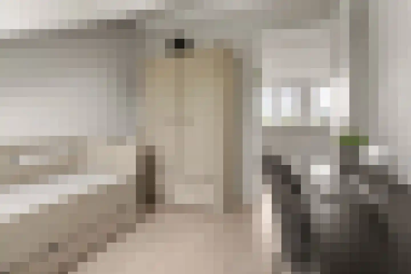 Ds. Magendansstraat 12 Lexmond thumbnail 27