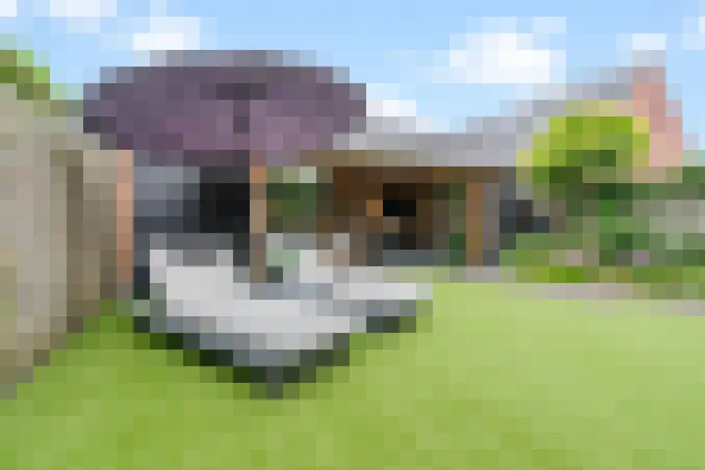 Ds. Magendansstraat 12 Lexmond thumbnail 29