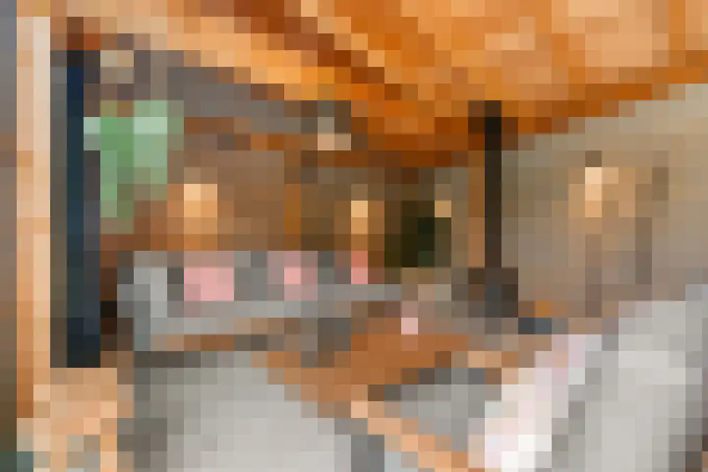 Ds. Magendansstraat 12 Lexmond thumbnail 31