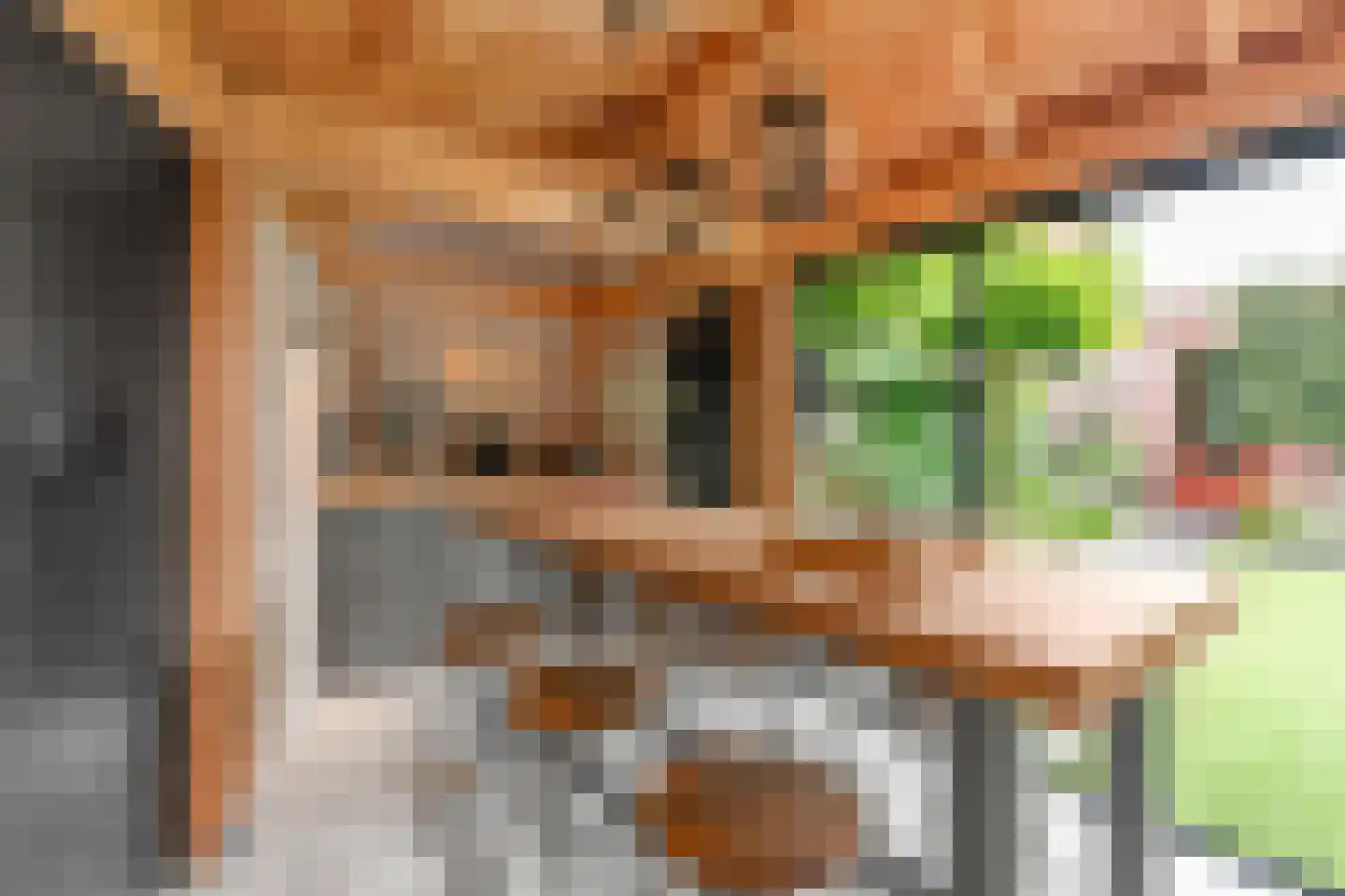 Ds. Magendansstraat 12 Lexmond thumbnail 32