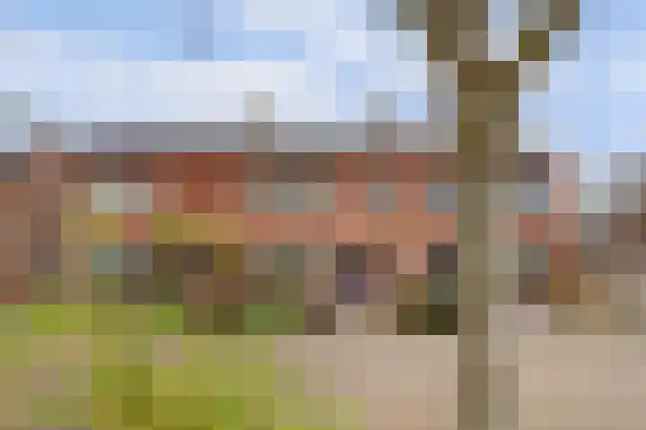 Ds. Magendansstraat 19 Lexmond thumbnail 47