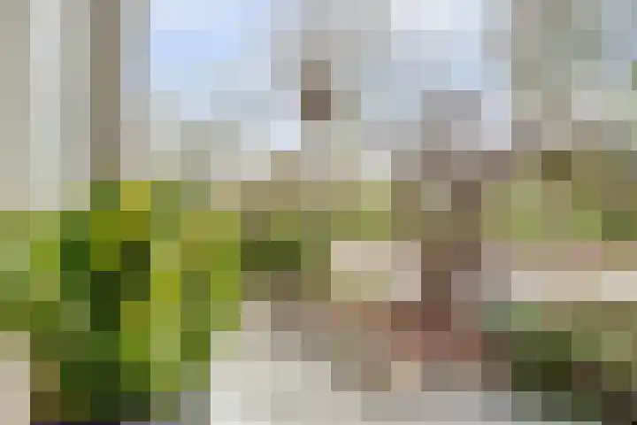 Ds. Magendansstraat 19 Lexmond thumbnail 6
