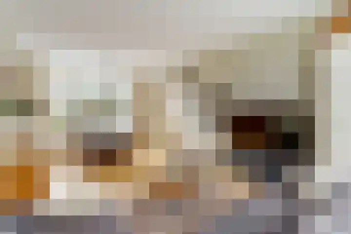 Ds. Magendansstraat 19 Lexmond thumbnail 8